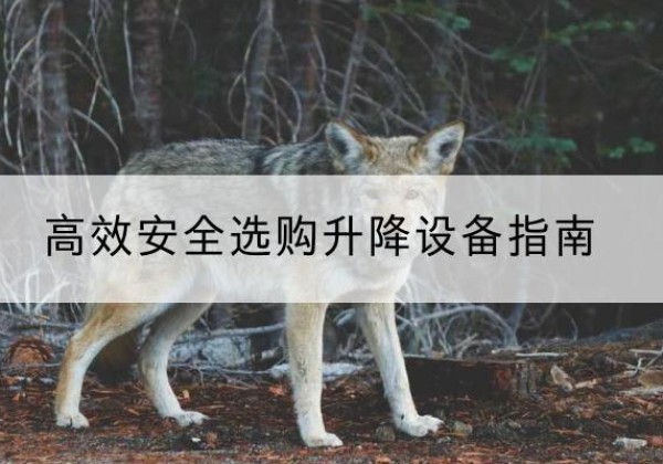 东平升降货梯厂家推荐-*安全选购升降设备指南