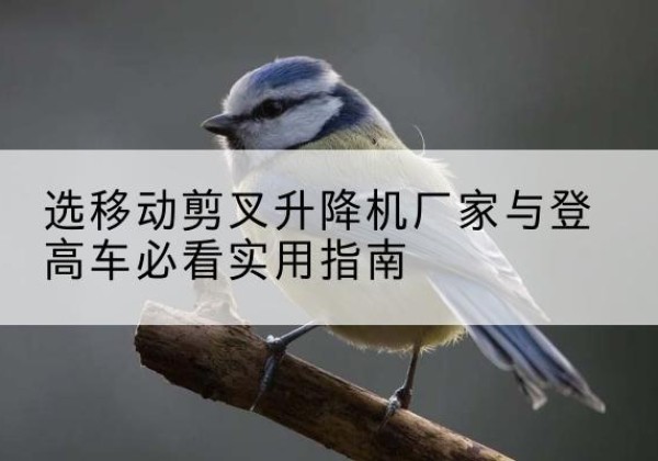 东平电动升降机厂家-选移动剪叉升降机厂家与登高车必看实用指南