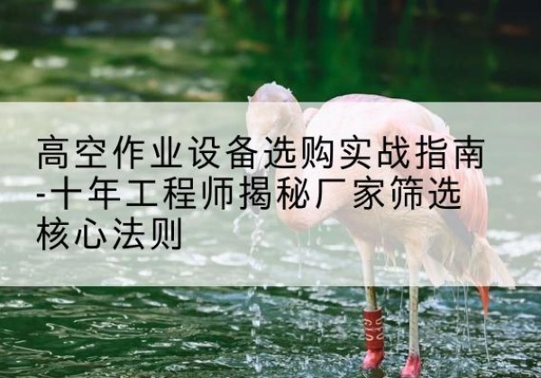 东平剪叉式升降机厂家-高空作业设备选购实战指南-十年工程师揭秘厂家筛选核心法则